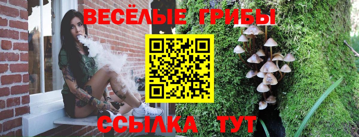 Псилоцибиновые грибы мицелий  Вход с VPN  Кохма 