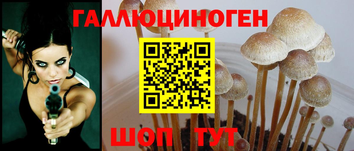 Псилоцибиновые грибы прущие грибы Кохма